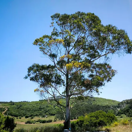 The Windhouse Casa vacanze São Bartolomeu